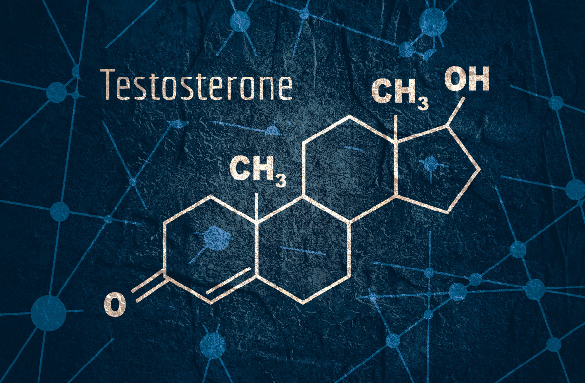 increase testosterone