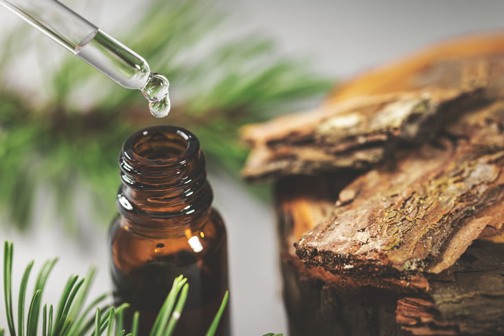 Pine Bark Extract increase HDL (good) cholesterol levels