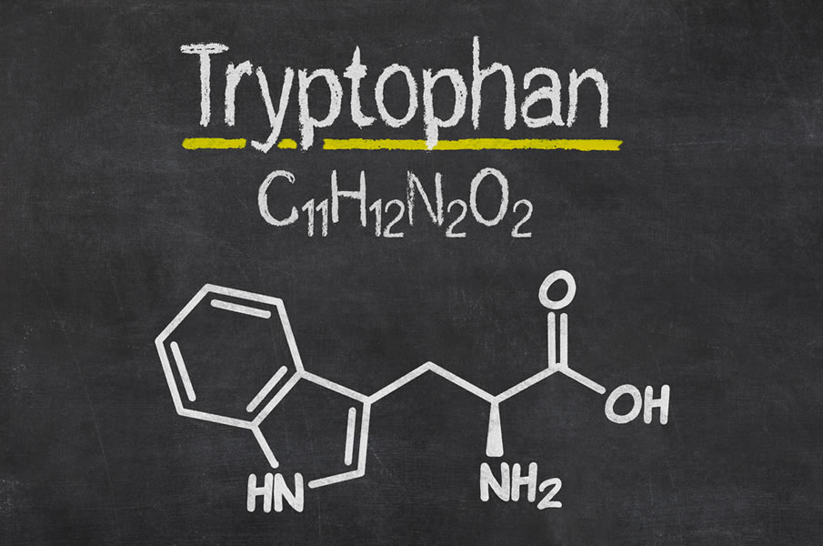 Tryptophan improve cognitive ability